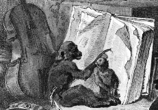Two Monkeys with Books, Viola, and Tambourine libguide small